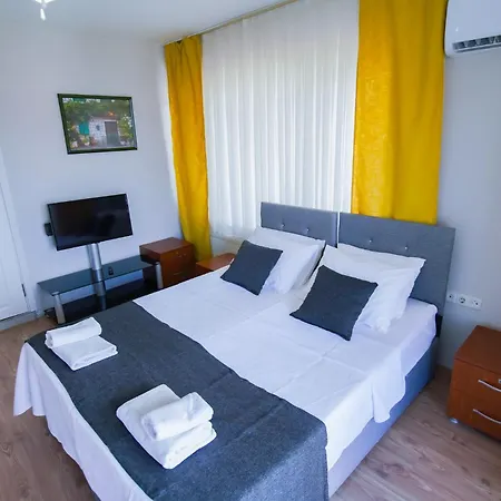 Palmiye * Hamidiye