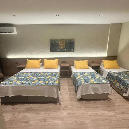 Palmiye Apartment