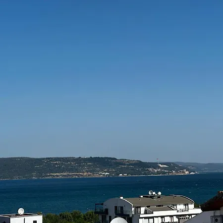 Palmiye *