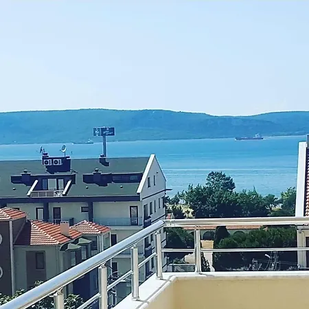 Palmiye *