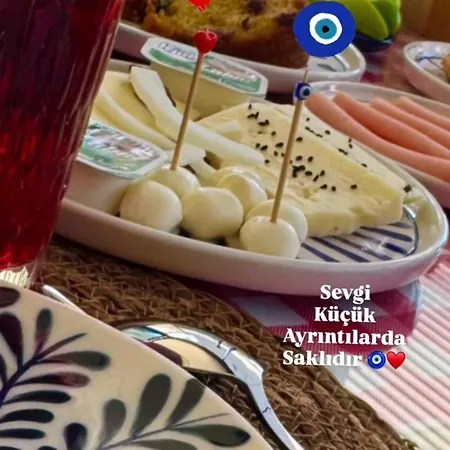 Palmiye Hamidiye