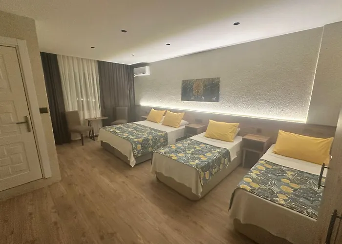 アパート Palmiye Hamidiye